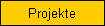 Projekte